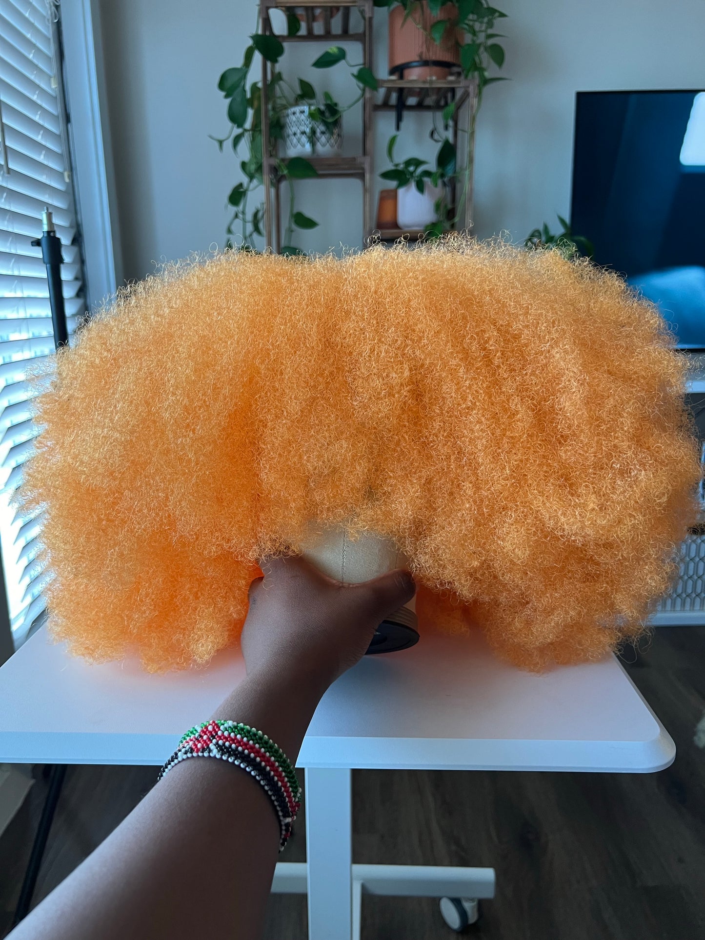 Bold Statement Collection