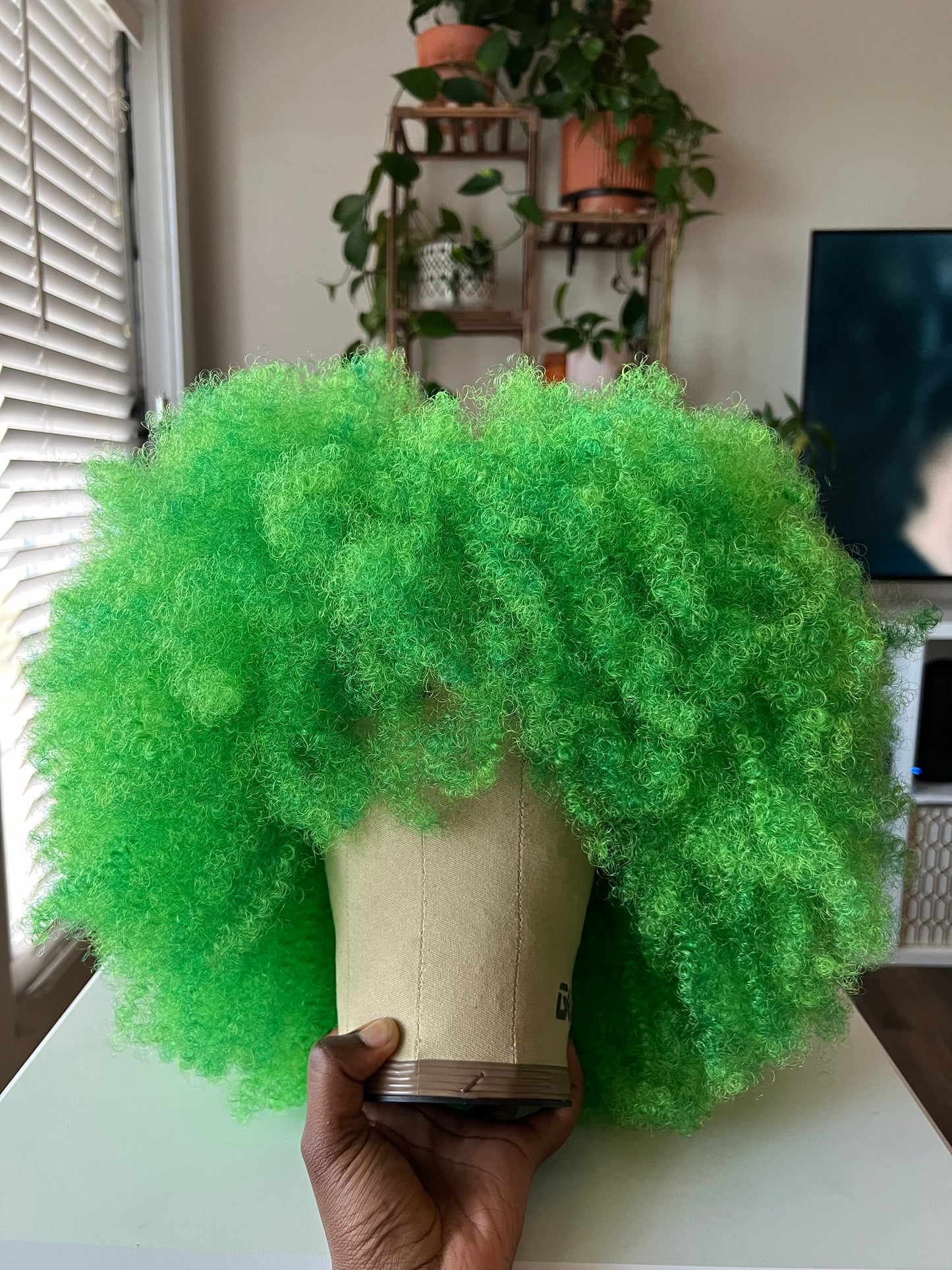 Bold Statement Collection