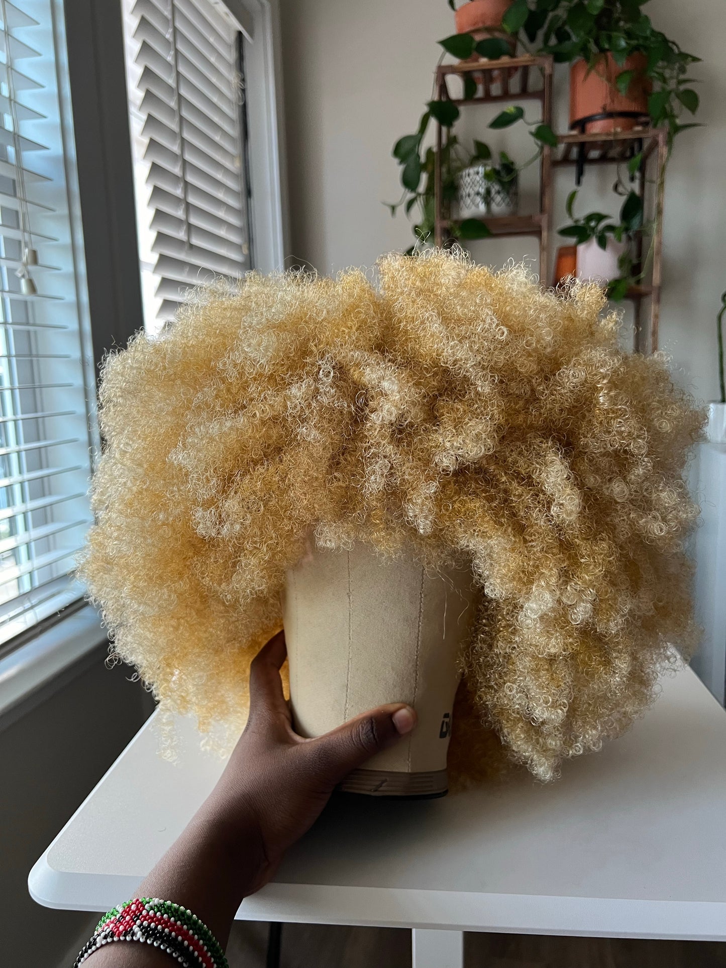 Bold Statement Collection